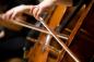 Preview: Fototapete Cellos bei einem klassischen Konzert