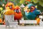 Preview: Fototapete – Lustige tropische Vögel