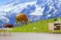 Preview: Fototapete Kühe in den Bergen der Schweizer Alpen