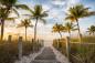 Preview: Fototapete Palmen am Strand in Florida