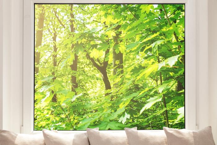 Fensterfolie mit grünen Blättern im Wald
