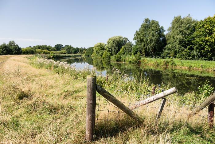 Fototapete Blick auf einen Deich in Norddeutschland