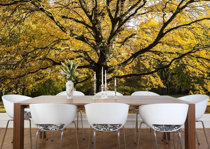 Fototapete großer Baum im Herbst