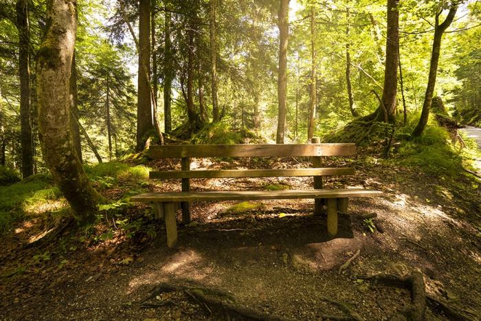 Fototapete Bank im Wald in den Alpen