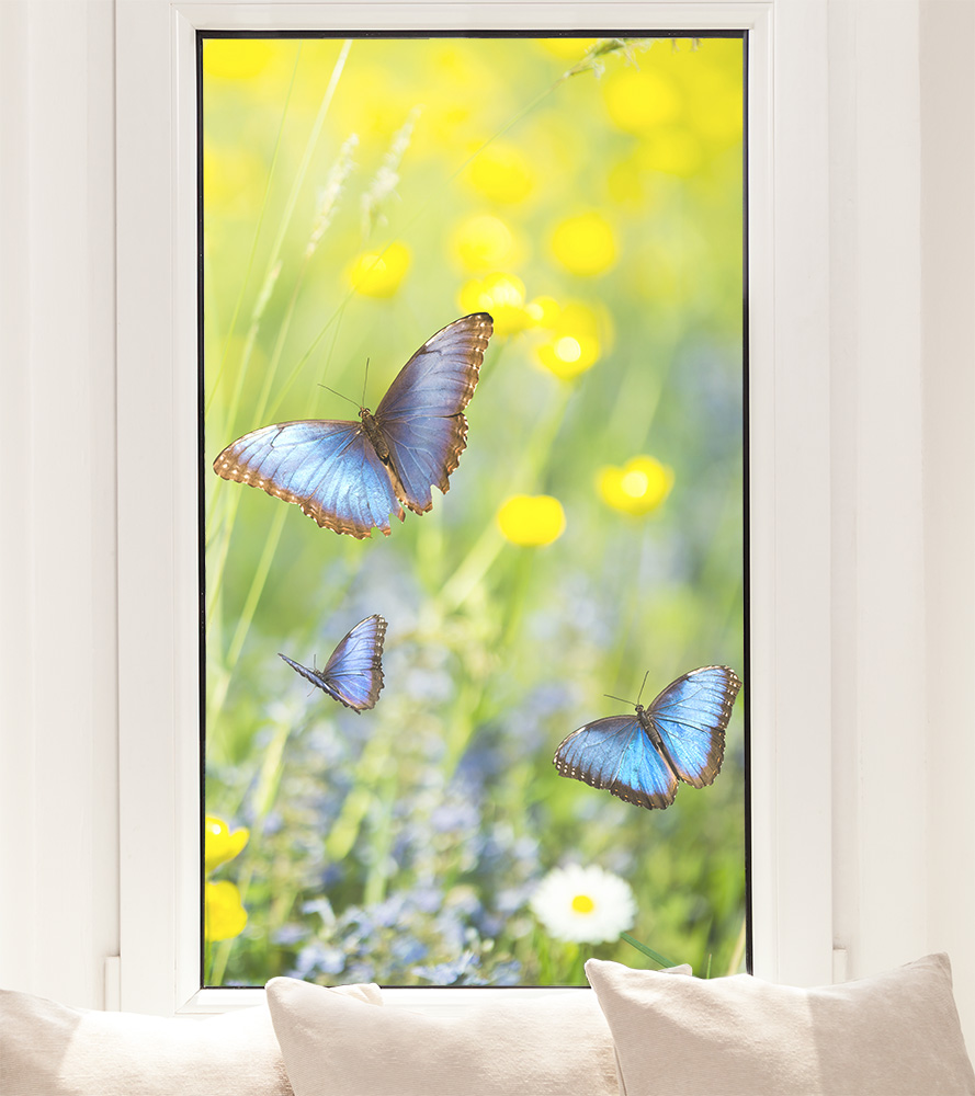 Fensterfolie - Sichtschutz - Große Blumen mit Schmetterlingen in Schwarz -  Fensterbilder
