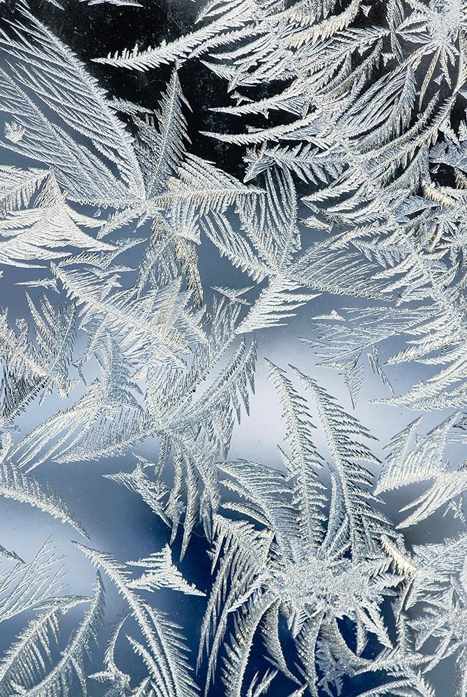 Fensterfolie Winter Online kaufen im Eiskristalle I