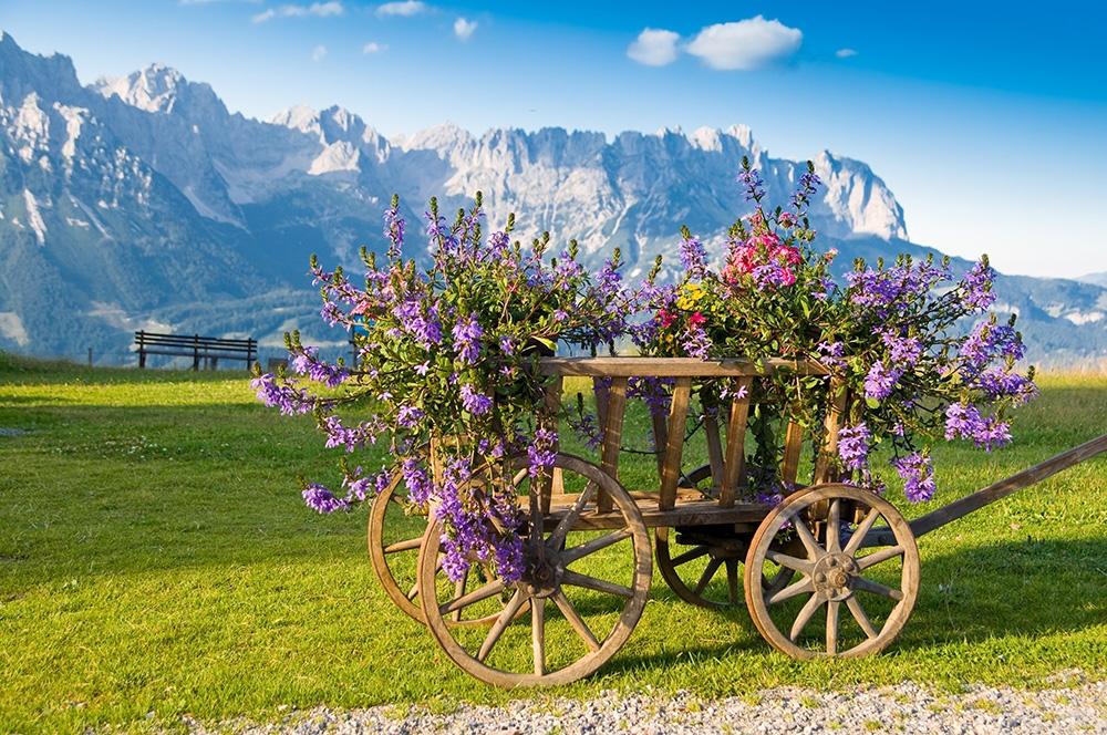 Fototapete Blumen in einem Holzwagen