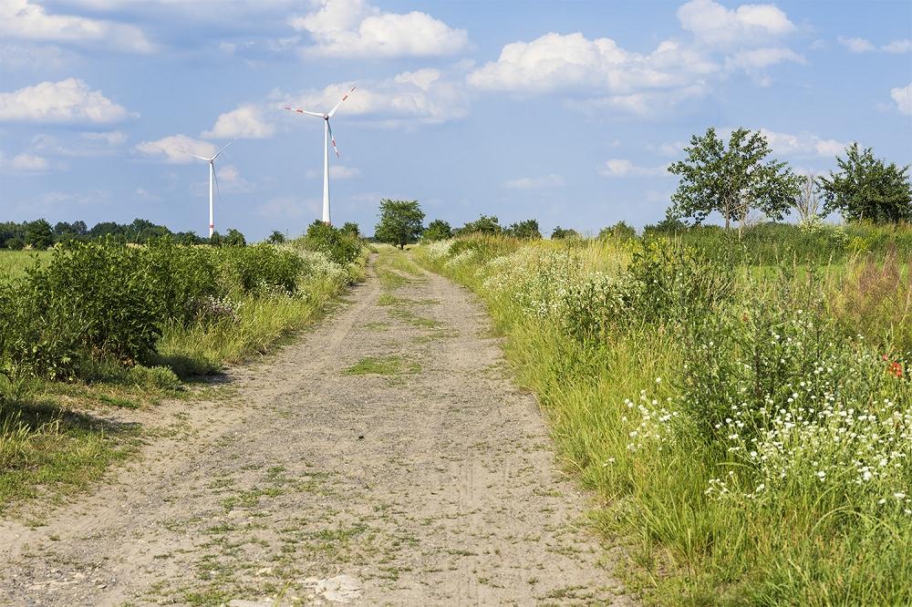 Fototapete Feldweg in der Natur