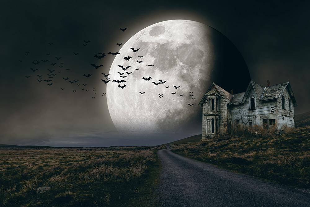 Halloween Fototapete mit einem Geisterhaus, Vollmond und Fledermäusen