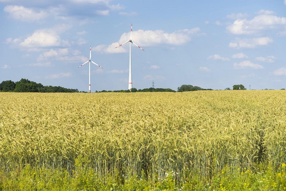 Fototapete Windräder und Feld