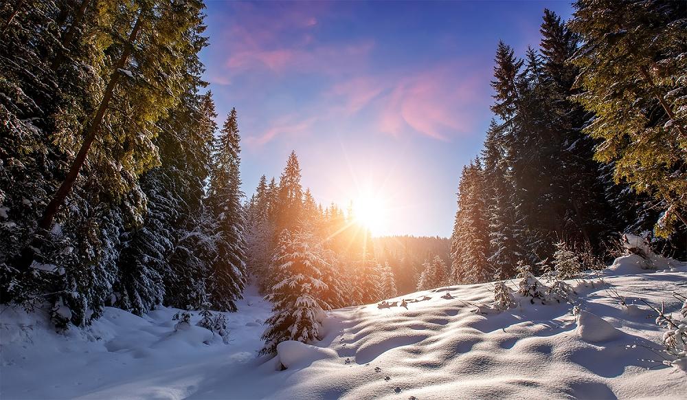 Fototapete Winterlandschaft im Sonnenlicht