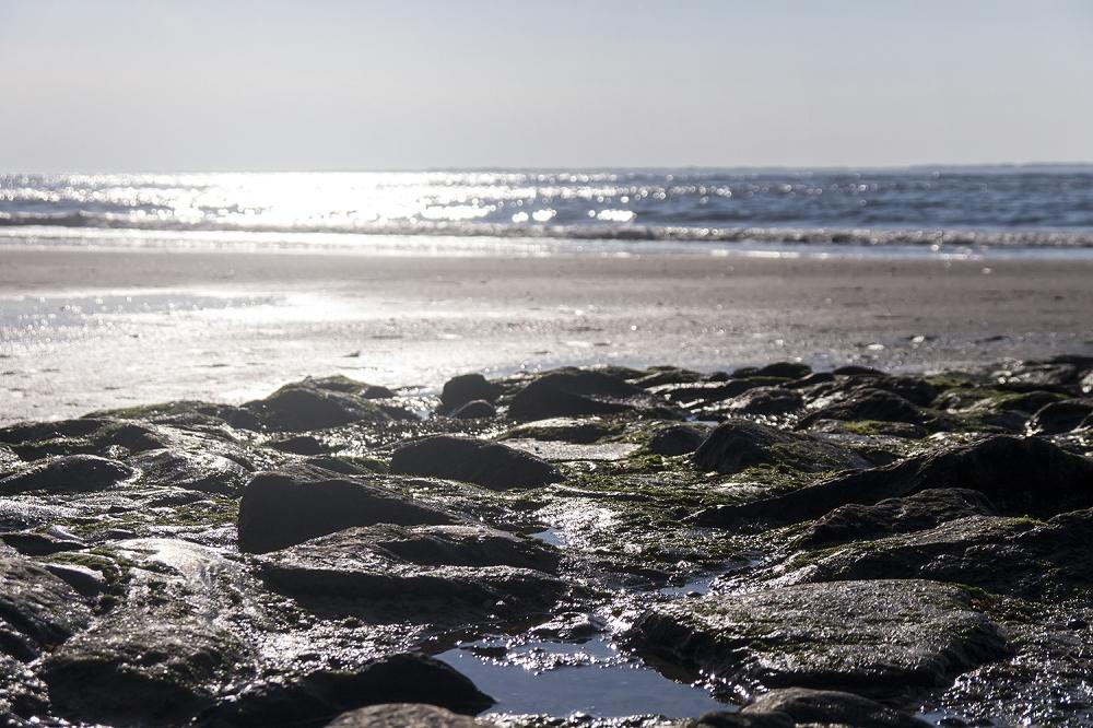 Fototapete Nordsee Strand