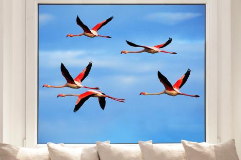 Fensterfolie Flamingos im Flug