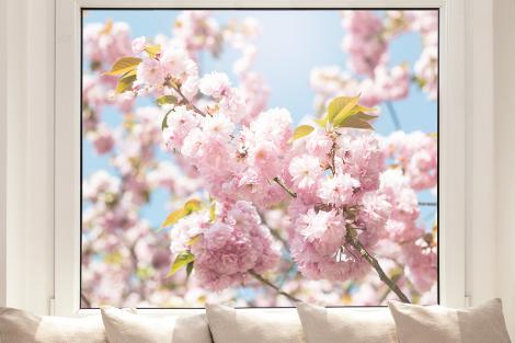 Fensterfolie als Sichtschutz – Kirschblüte im Sonnenlicht