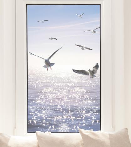 Fensterfolie als Sichtschutz – Möwen am Meer