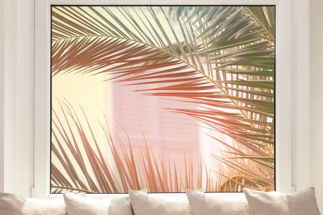 Fensterfolie mit Palmenblättern im Sonnenlicht