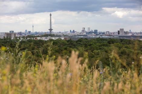 Fototapete Blick auf Berlin