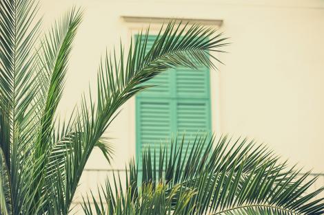 Retro Fototapete mit einem Palmenblatt vor einem Fenster