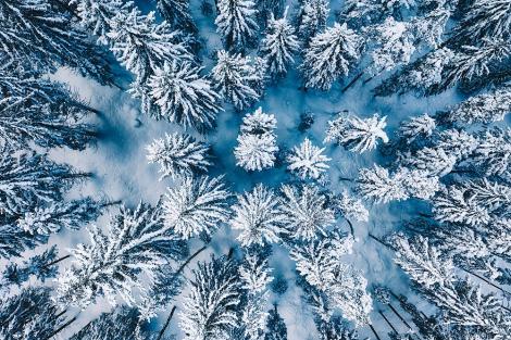 Fototapete Winterwald aus der Luftperspektive